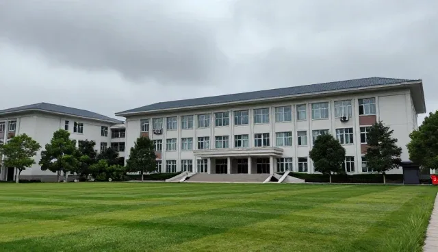 定制网站设计：信息整合行业的关键路径
